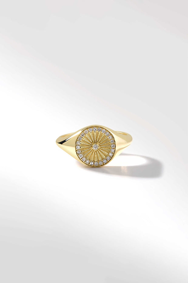 Amulet Signet Ring in Diamond